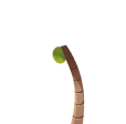 tree-trunk