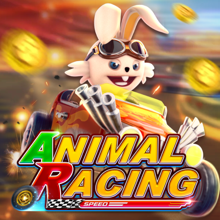 Animal Racing