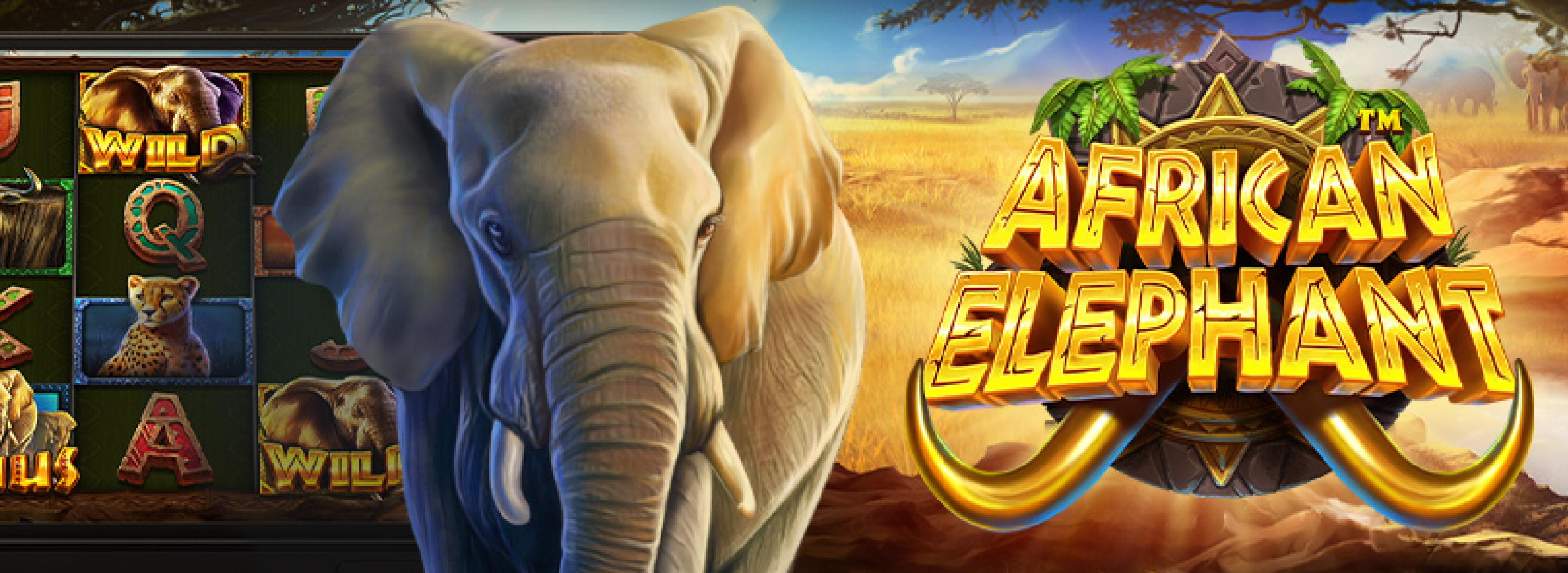 African Elephant Slot Game | Win Big at Casino Plus