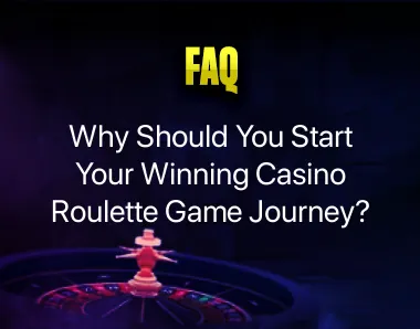 Casino Roulette Game