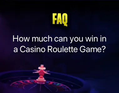 casino roulette game