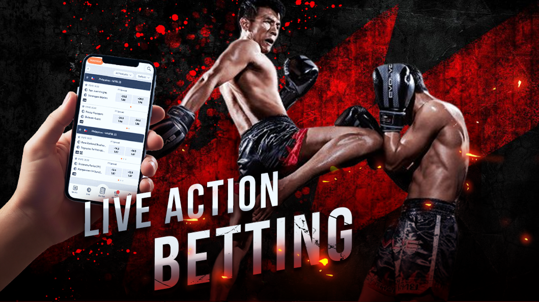 Casino Plus - How Can Bet MMA Tips Help You Build Winning Bankroll Habits on Casino Plus?