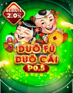 p0.5-dfdc